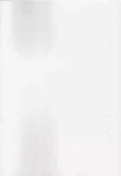 (COMIC1☆9) [Momoshiba Anzu (Nafutan)] Joou no Tashinami (Zero no Tsukaima) [English]