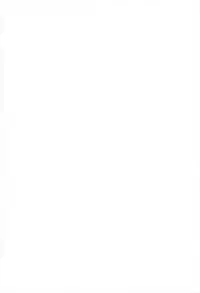 (C81) [Gainamon (Natsu no Koucha)] Nichijou Seikatsu -Ni- (Touhou Project) [English] {biribiri}