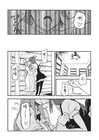 (C80) [Shironegiya (miya9)] Waisetsu Toshokan (Touhou Project) [Chinese] [水土不服汉化组]