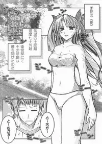 (C66) [TAROTS (Sawano Akira)] THE EMPEROR (Fate/stay night)