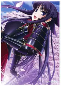 Walkure Romanze More & More Visual Fan Book