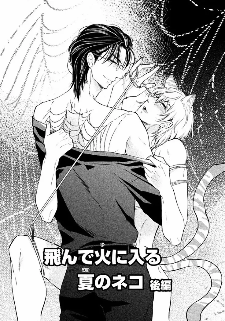 Tonde Hi Ni Iru Natsu No Neko Ch.2