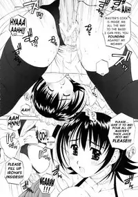 (C69) [Kamogawaya (Kamogawa Tanuki)] Iroha ni Hoheto (Samurai Spirits) [English] {JT Anonymus}