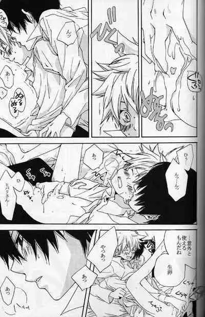 Kouhinshitsu Repurikanto