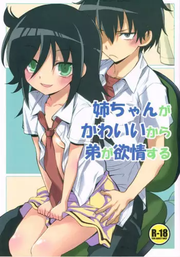 (CT22) [Monte Carlo-ya (Sena Monaco)] Nee-chan ga Kawaii kara Otouto ga Yokujou suru (It's Not My Fault That I'm Not Popular)