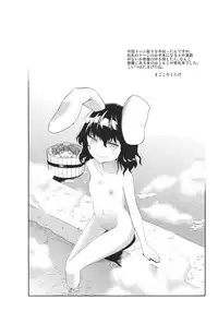 (Reitaisai 9) [Hellfragrance (Utsurogi Angu)] Hermit Pink (Touhou Project)