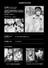 [IRIOMOTE (Saryuu)] Thileren Tounyan 2 Shou (Touhou Project) [Digital]