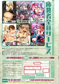 COMIC Unreal 2015-06 Vol. 55 + Hisasi Illust Shuu