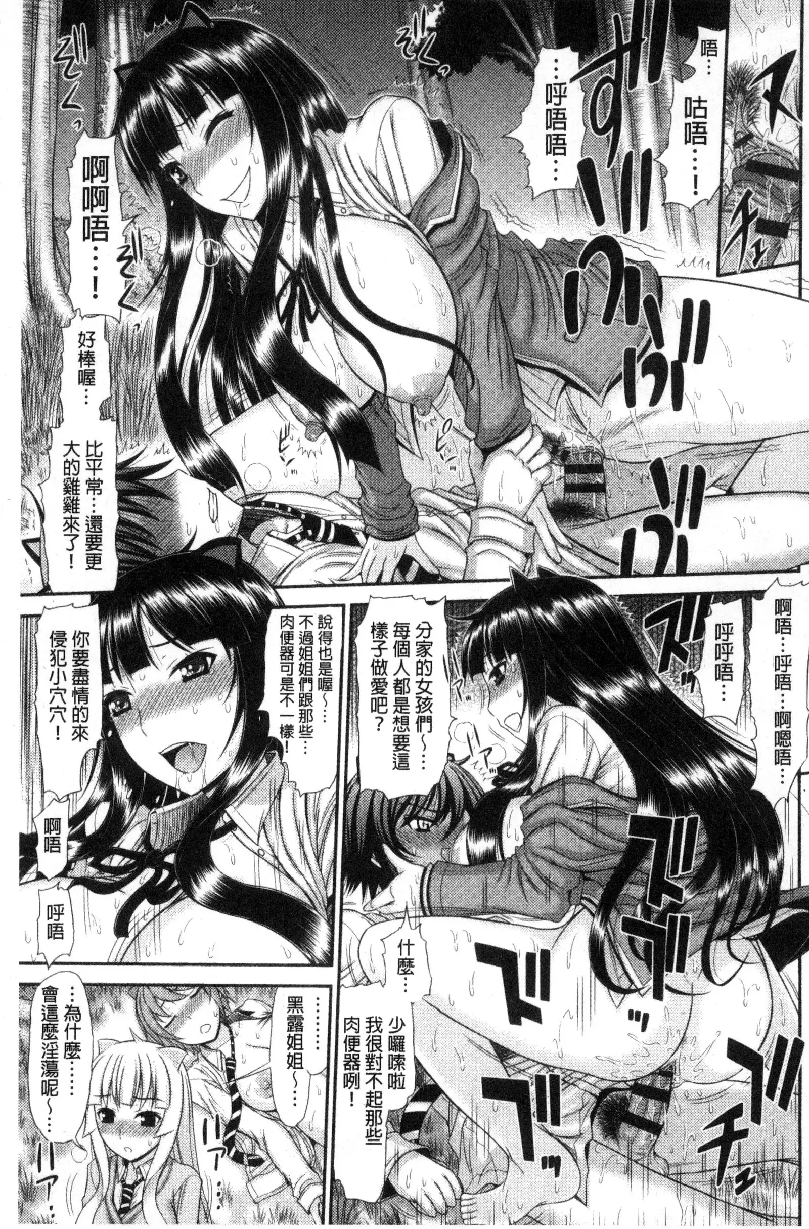 Shimai Seikou Inshuu