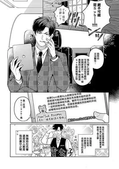 Dom/Sub Universe BL 01-02