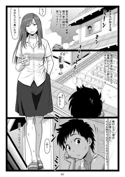 Natsuyasumi no Omoide Joukan