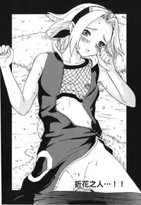 [Kishimoto Saisi] naruto ninja biography vol.07 (naruto) [chinese]