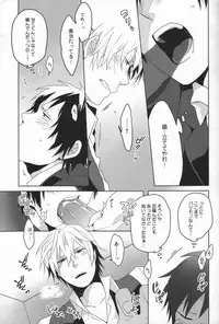 (C79) [WORLD BOX (yuu)] Kinshu Kinen (Durarara!!)