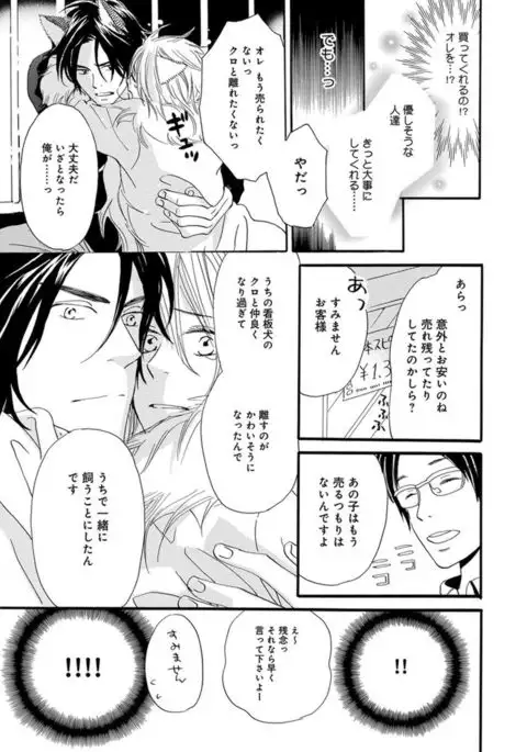 Ore wa Kawaii Ototo to