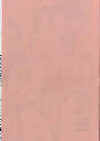 (C87) [Kotau (bowieknife)] GyanFumi Try (Gundam Build Fighters Try)