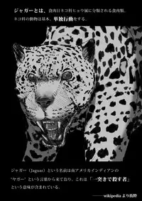 [杏ちゃん★会長] My Student