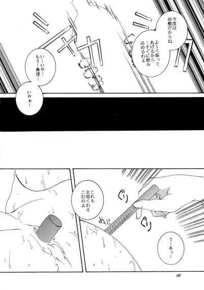 (CR33) [F-A (Honoutsukai)] Xs