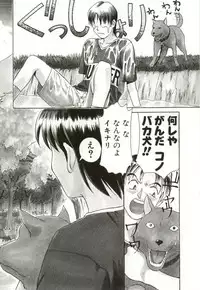 [Himura Eiji] H-BRAND