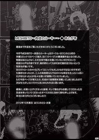 [Hariko no Tora (Midoh Torako)] MESHIBITO (One Piece) [Digital]