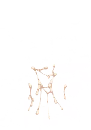 Yuuka-Chirabatta Daiyoukai no Kakera-