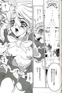 (C67) [PIGGSTAR (Nagoya Shachihachi)] SOS ROMANTIC (Futari wa Precure)