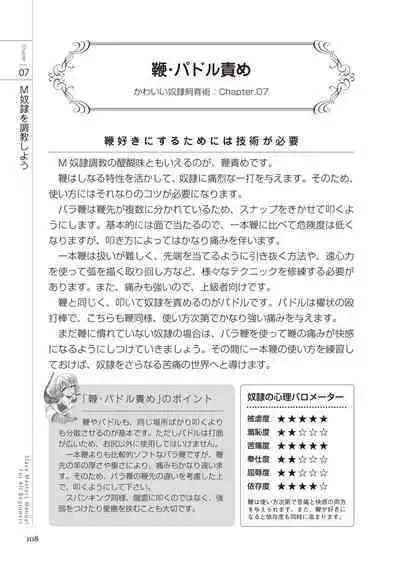 Zero kara Hajimeru SM Manual Kawaii Dorei Shiikujutsu