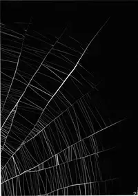 (C78) [Rapid Rabbit] A Disease Woman's Story (Touhou) [ATrans] (ENG)