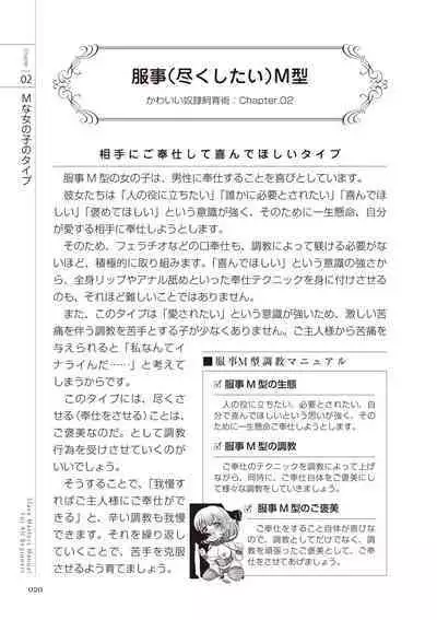 Zero kara Hajimeru SM Manual Kawaii Dorei Shiikujutsu