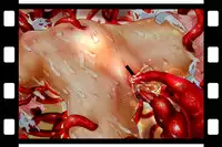 [NEO’GENTLE] Bitou Megami Elsex ~Bishoujo Robo Hakai Ryoujoku~