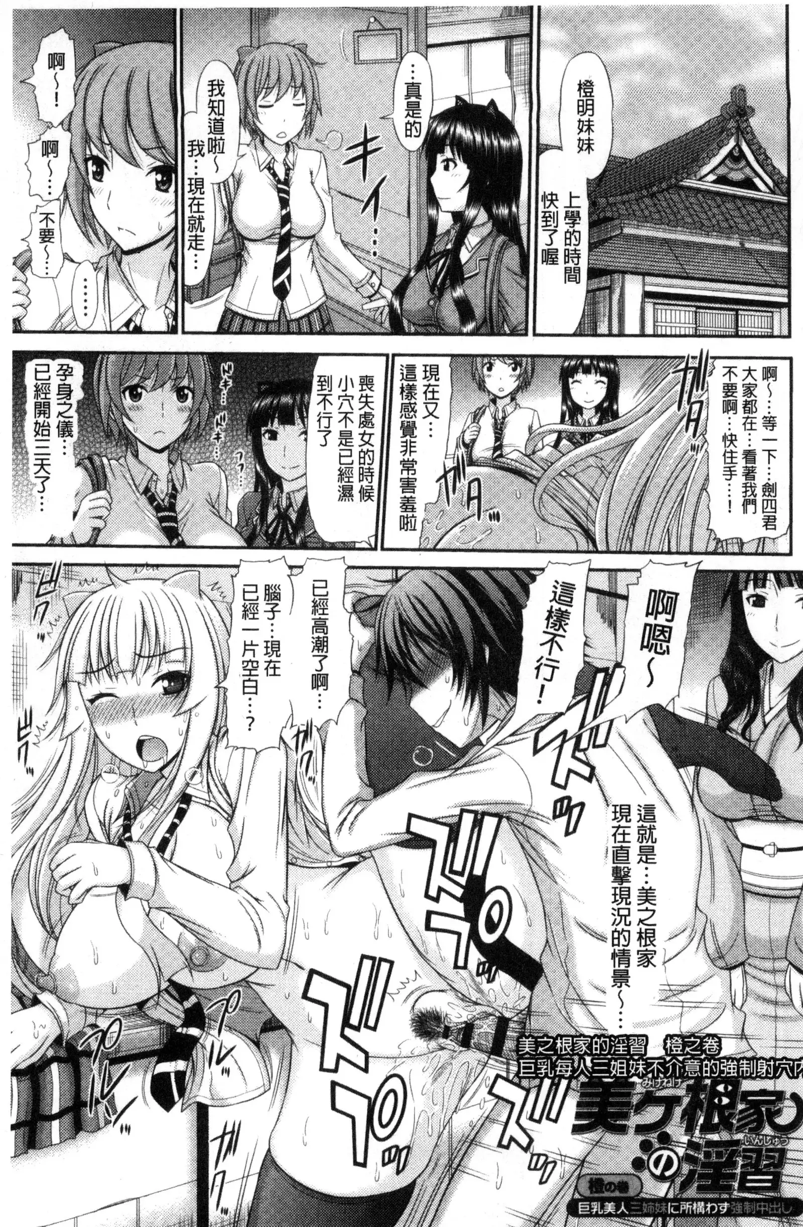 Shimai Seikou Inshuu