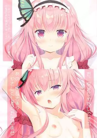 (COMIC1☆17) [THE FLYERS (Naruse Mamoru)] Colorful Flower Assort (Flower Knight Girl)