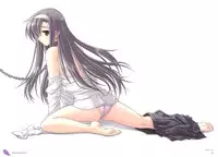 [Tsurugi Hagane] The collection of Tsurugi Hagane pictures Exhibition at Walhalla