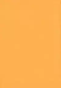 [Noraneko Nagaya] Horoama Omocha Hako