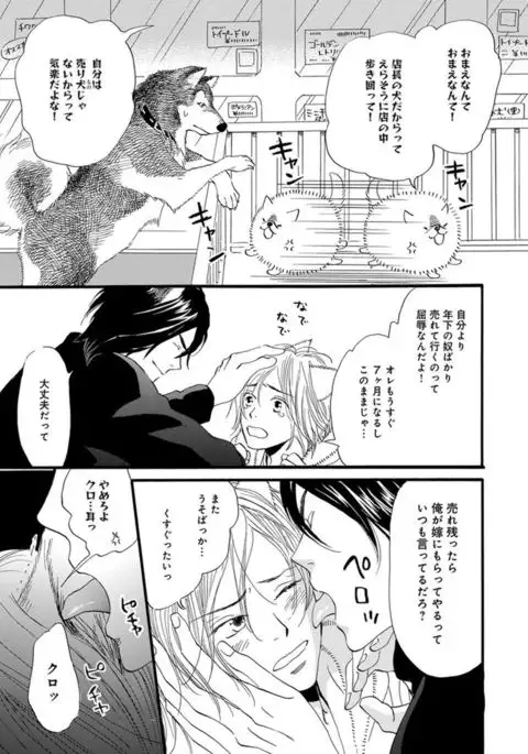 Ore wa Kawaii Ototo to