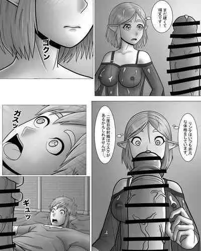 Zeruda no Densetsu: Purinsesu to Sugosu Yoru