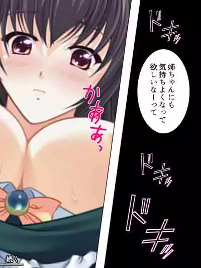 Nee-chan wa Boku no Kokan no Sewagakari ～Konna Seikatsu, Yamerarenai!～