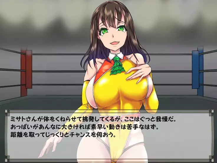 ドMプロレス2 画像集