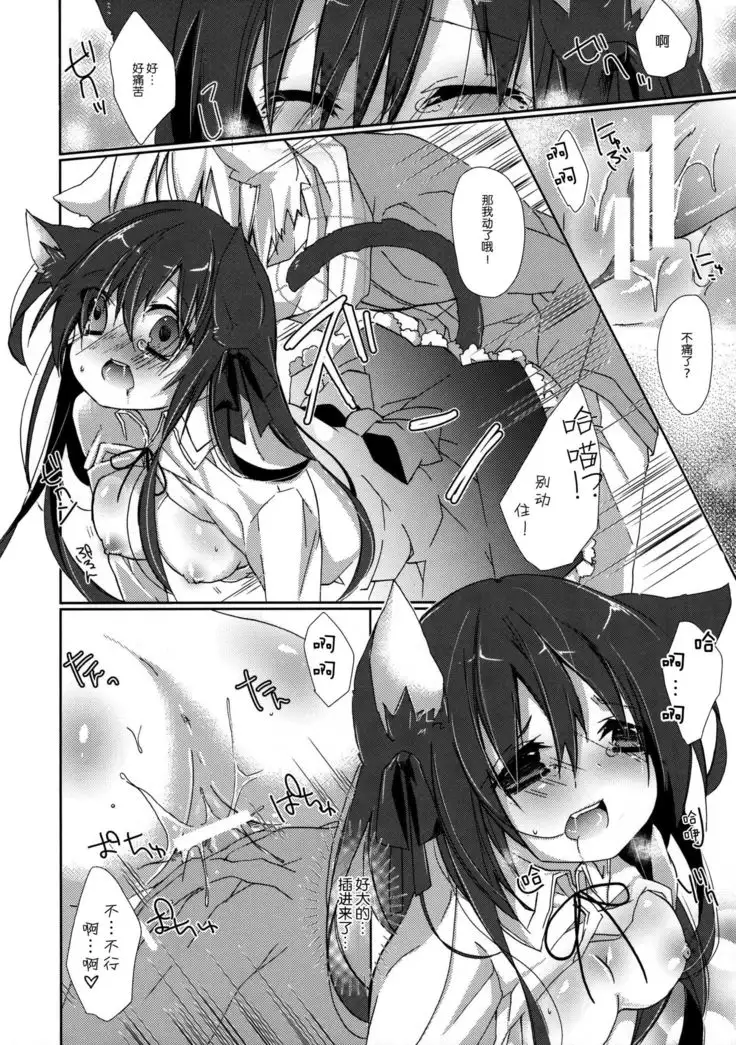 Hitoribocchi no Kuroneko-san