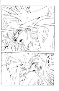 (C53) [PINK CAT'S GARDEN (Kumosuke)] SEXCEED ver.5.0