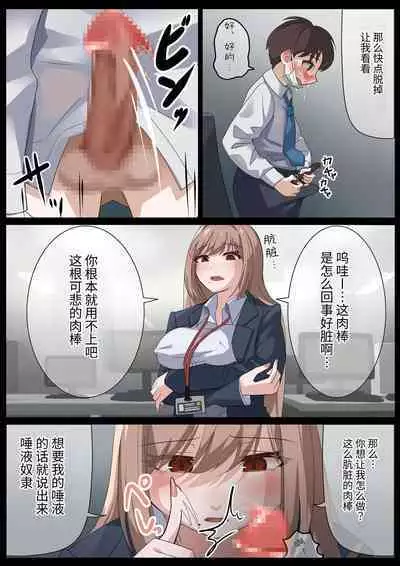 Birei sama no tsuba seme