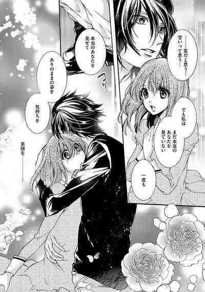 鬼畜兄弟の悶絶調教～私はいいなり奴隷～