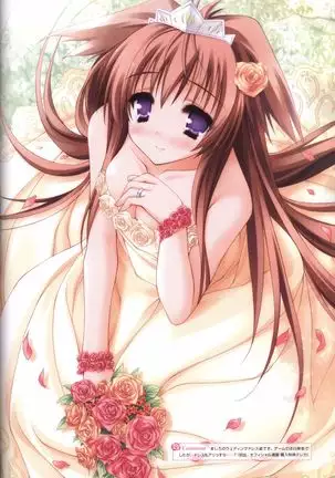 Tayutama -It's happy days- Visual Fanbook