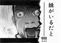 COMIC DOLPHIN 2004-06