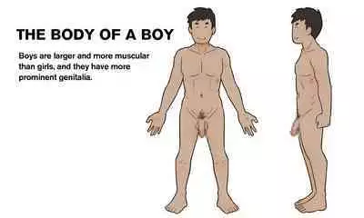 [Yoiko Books (66b)] Our Bodies (How Children Are Made) -2nd Edition (English)