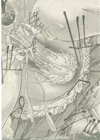 COMIC Muga 2005-03 Vol.18