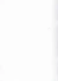 (C80) [Parupunte (Fukada Takushi)] Swimming Suit