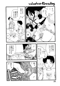 [Kaimeiji Yu] Volunteer Breeding