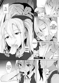 Shinomiya no Maid wa Tokojyouzu~ Professional Jintai Onahole