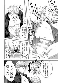 Leucocyte no Fuan Zairyou