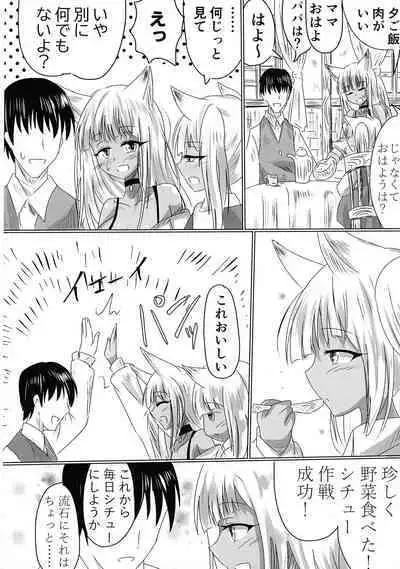 TSF shita Hitozuma ga NTR tte Dorei Ochi Suru Hon